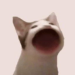 POPCAT logo