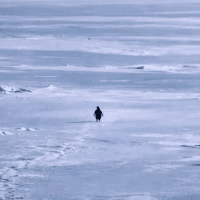 Nietzschean Penguin logo
