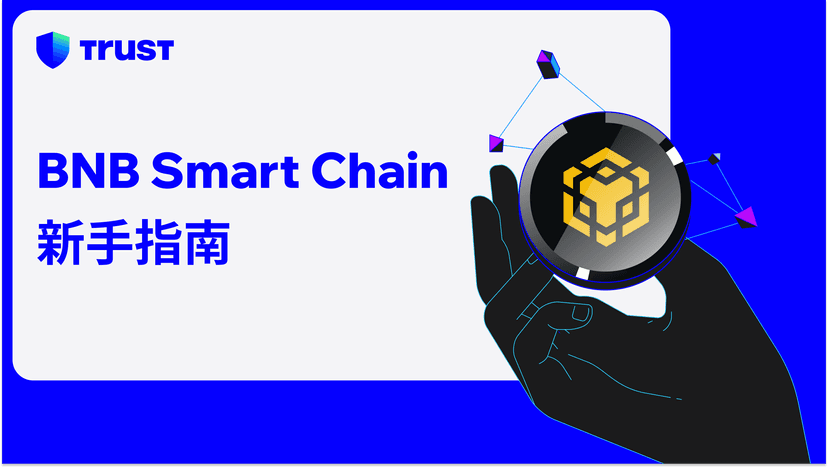 BNB Smart Chain 新手指南