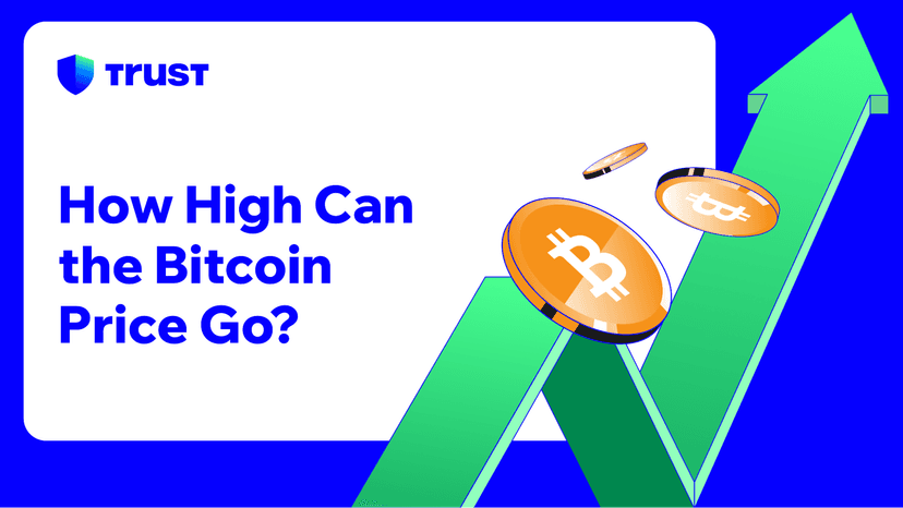 How High Can the Bitcoin Price Go?