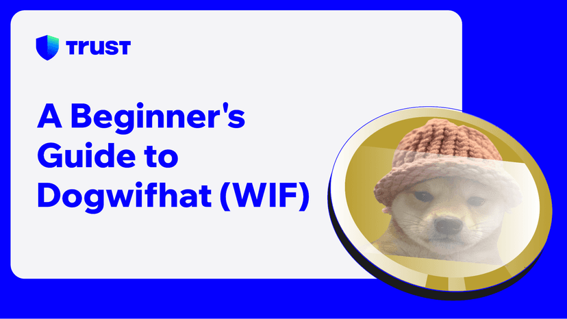 A Beginner's Guide to Dogwifhat (WIF)